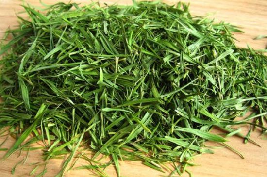 哪類人不適合喝石竹茶，石竹茶的功效與禁忌