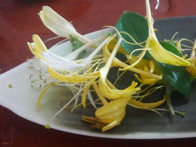 喝茶治口臭嗎，什么茶治口臭好？