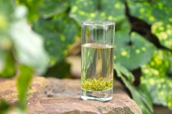 碧螺春沖泡三要素，碧螺春怎么泡才正確？