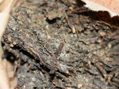 長(zhǎng)期飲用黑茶的副作用，黑茶的功效與作用