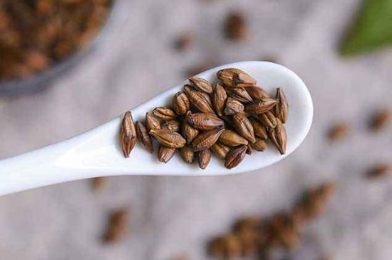 飯店的大麥茶為什么那么香，自己泡的蕎麥茶沒(méi)飯店香