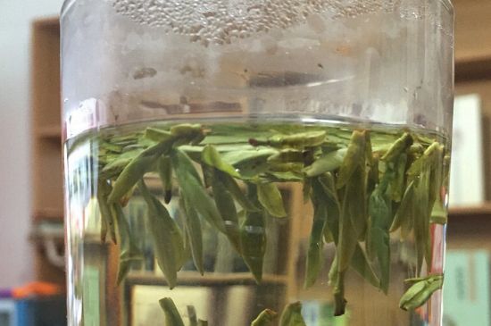 煮茶器能煮龍井嗎，龍井茶能不能用煮茶器圖