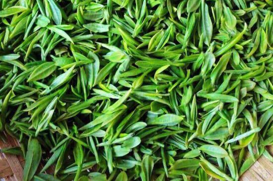 云霧綠茶的功效及禁忌，哪些人不適合喝云霧茶