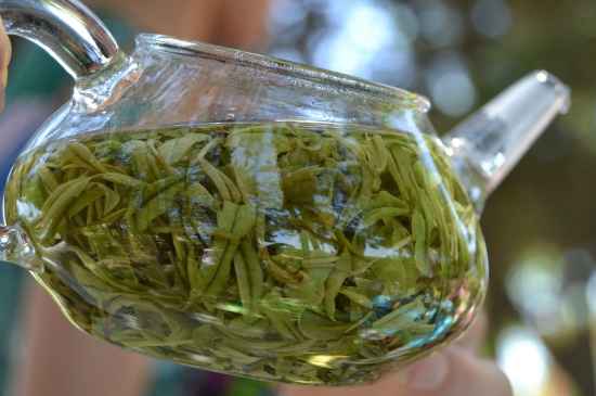 新手學泡茶的基本常識，從零開始學泡茶