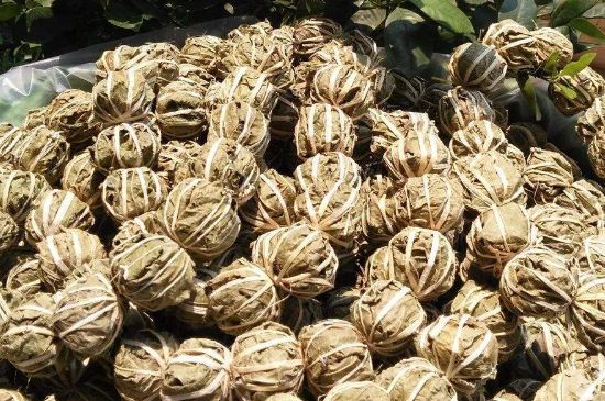 鷓鴣茶的禁忌，海南鷓鴣茶副作用