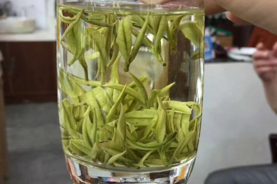 茶葉過期5年了但沒開封，茶葉放久了能喝嗎