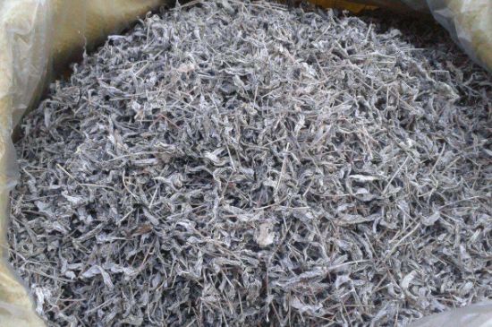 怎樣辨別莓茶發(fā)霉了，莓茶發(fā)霉和白霜的區(qū)別