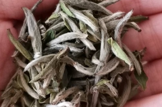如何買茶葉不上當(dāng)，怎么買茶葉不被坑？
