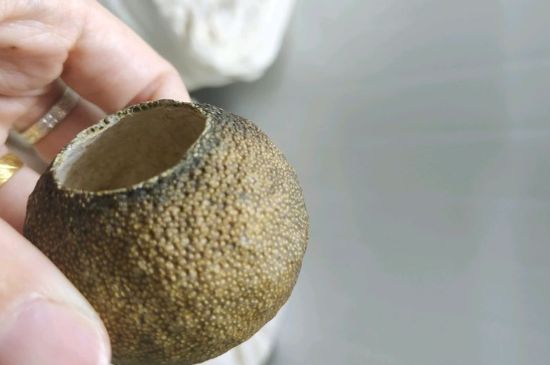 小青柑多少錢一盒，新會小青柑普茶價格一斤多少