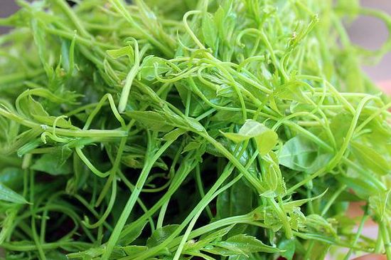 茅巖莓茶別名是什么，莓茶別名叫藤茶嗎？