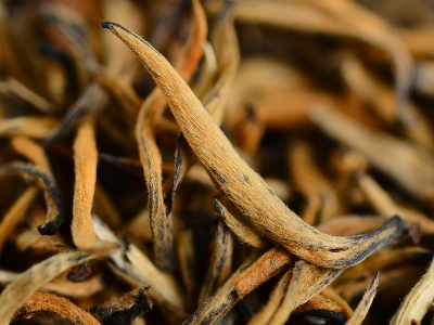 怎么知道什么茶葉適合自己，怎么判斷自己適合喝什么茶？