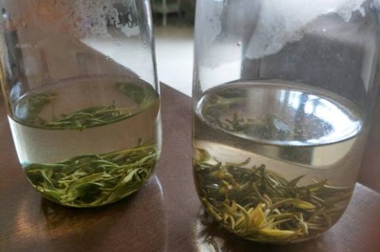 真假碧螺春泡水后區(qū)別，蘇州洞庭碧螺春怎樣鑒別好壞？