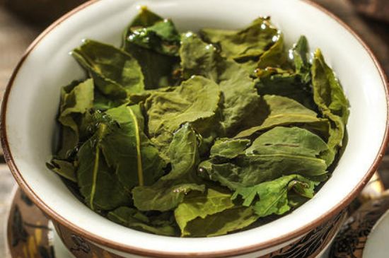 陳茶還是新茶好，茶葉是新茶好喝還是陳茶好喝