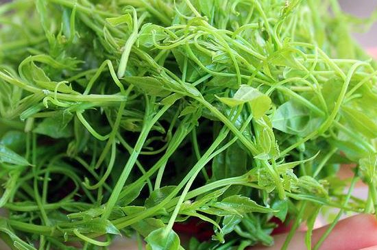 茅巖莓茶保質(zhì)期有多久，張家界莓茶存放時間長了還能喝嗎？