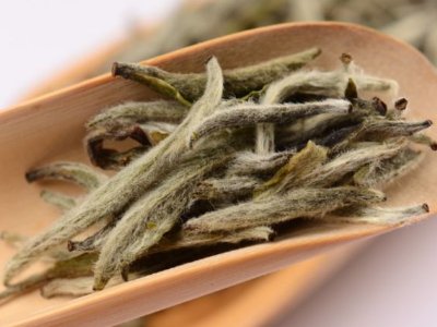 白毫銀針放幾年最好，白毫銀針什么年份最好？