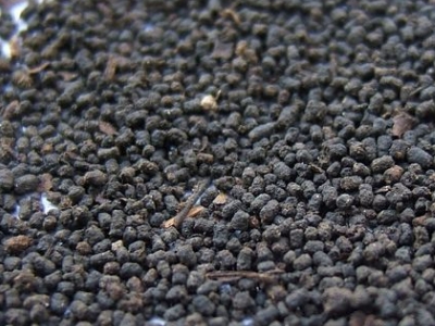 圓形顆粒狀茶是什么茶，像飼料一樣一粒粒的是什么茶？