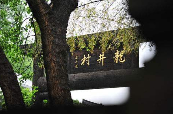 杭州買龍井茶攻略，怎么買到正宗的西湖龍井？