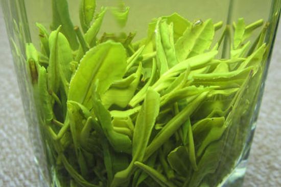 哪種茶葉可以放冰箱，哪些茶不能放冰箱？