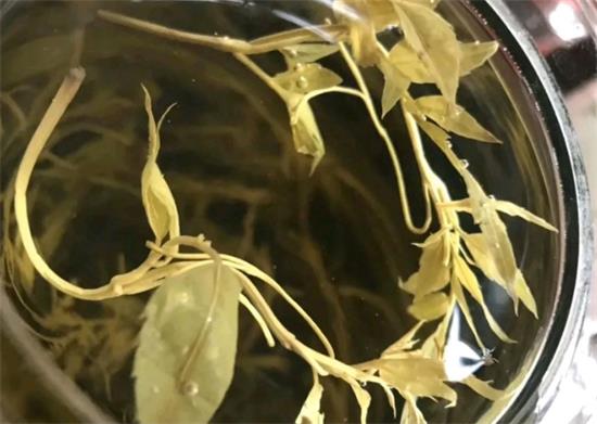 張家界茅巖莓茶與藤茶是同一種茶嗎，藤茶跟莓茶一不一樣？