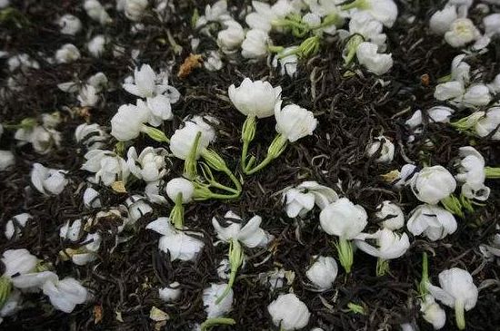 茉莉龍珠怎么做的，茉莉龍珠的制作工藝