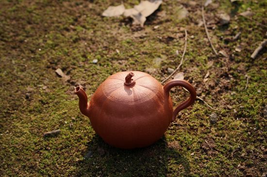 紫砂壺泡什么茶最佳，紫砂壺一般泡什么茶？