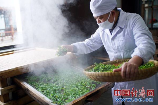 炒青綠茶與綠茶的區(qū)別，烘青和炒青哪個好喝？