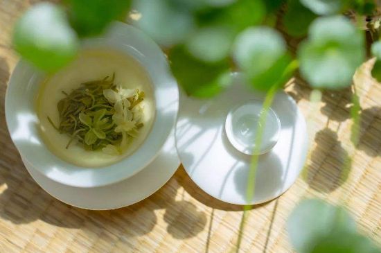 茉莉花茶6種人不要喝，什么體質(zhì)不適合喝茉莉花茶？