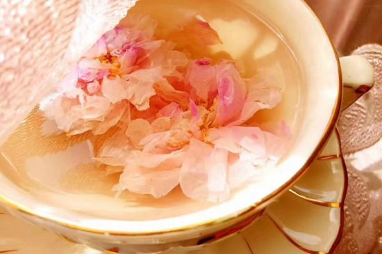 玫瑰花茶一周喝幾次，玫瑰花茶可以天天喝嗎？