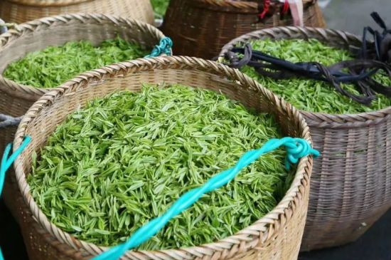 茶葉怎么炒制才香，怎樣炒茶葉更香？