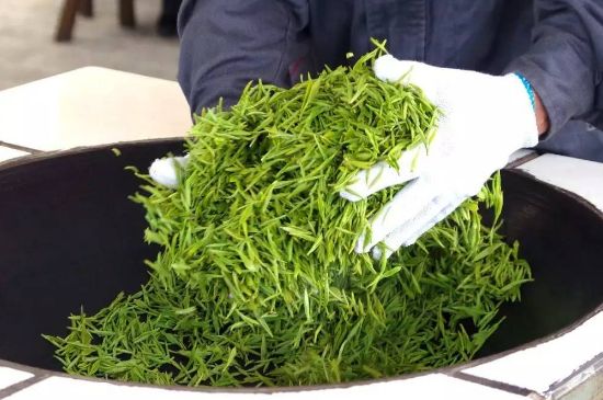 自家炒茶葉怎么炒，自己炒茶葉的步驟