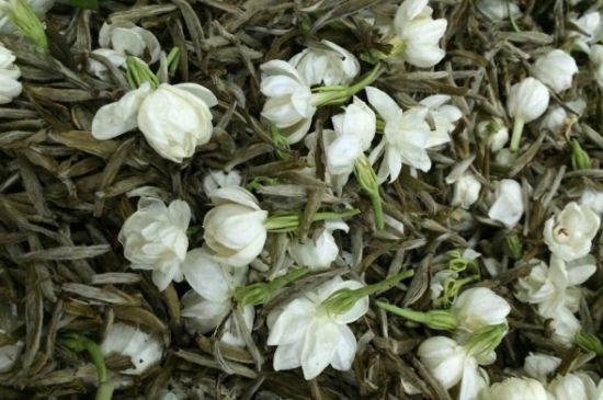 茉莉銀針口感，茉莉銀針是什么味道？