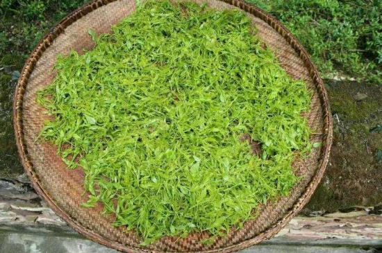 茅巖莓茶加工工藝，莓茶的工藝制作過程