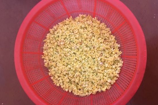 干桂花茶的制作方法，怎樣自制桂花茶？