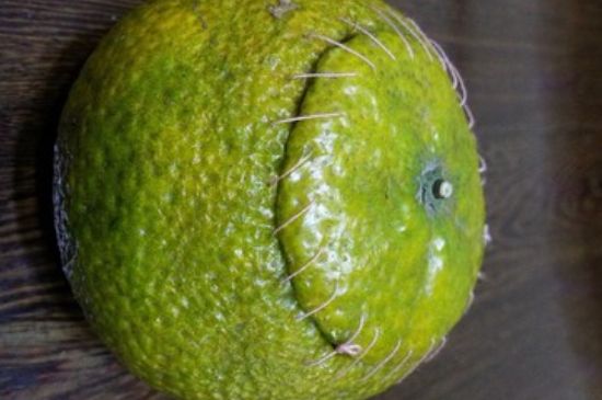 家庭自制柑普茶方法，小青柑制作9個(gè)步驟竅門(mén)（圖片）