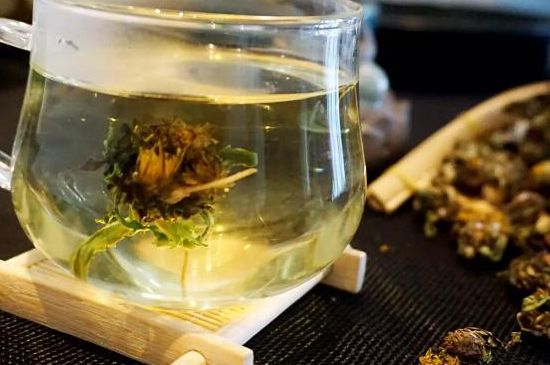 蒲公英最佳搭配，蒲公英茶和什么搭配泡水最佳