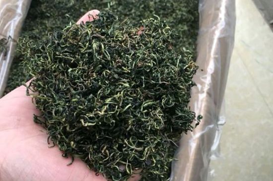 蒲公英十大搭配，蒲公英泡水搭配大全集