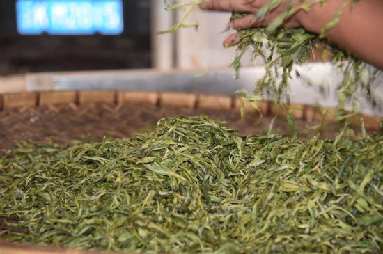 炒青綠茶與綠茶的區(qū)別，烘青和炒青哪個好喝？