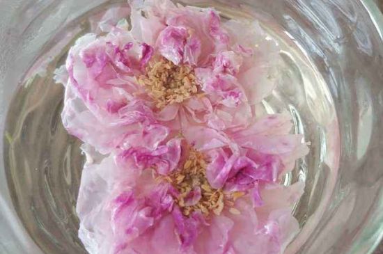 玫瑰花茶上火嗎，盲目喝玫瑰花茶易上火