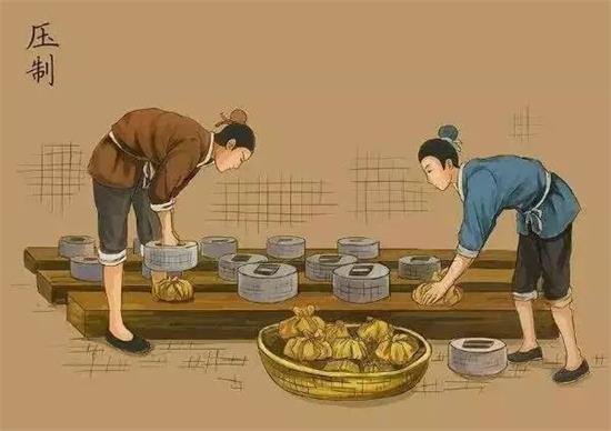 制茶八步驟，制茶工藝流程圖