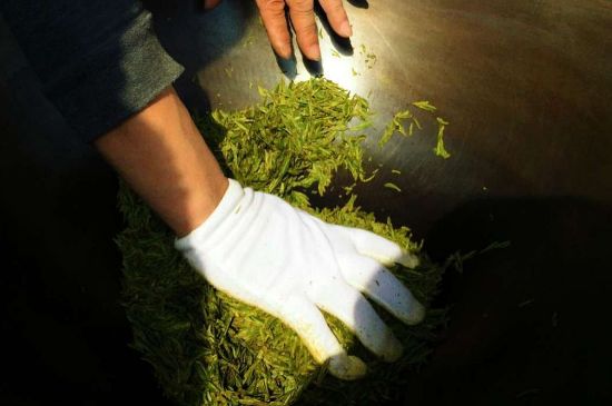 茶葉怎么炒制才香，怎樣炒茶葉更香？