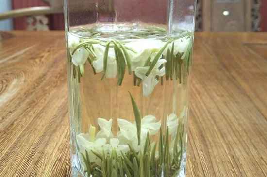 女孩喝茉莉茶的好處，茉莉茶葉的功效與禁忌