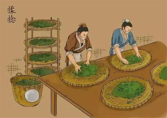 制茶八步驟，制茶工藝流程圖