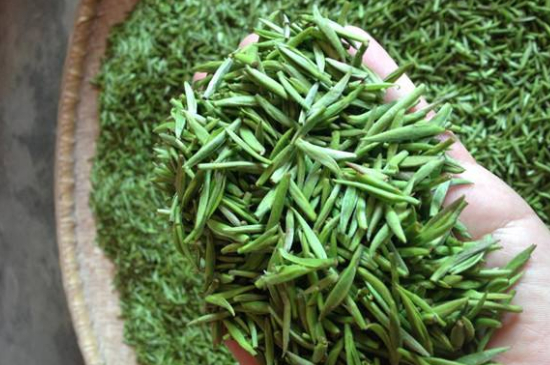 采茶的方法與步驟，如何正確采摘茶葉？