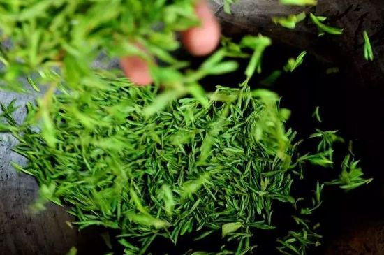 龍井茶炒茶葉怎么炒出好茶色，茶葉怎樣做出來最綠？