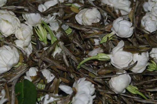 茉莉龍珠怎么做的，茉莉龍珠的制作工藝