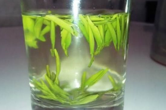 翠眉是什么茶，適合什么時候喝