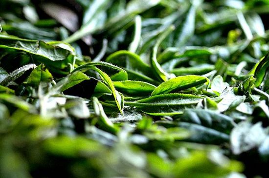 荒野銀針市場(chǎng)價(jià)多少，真正的荒野白毫銀針多少錢(qián)？