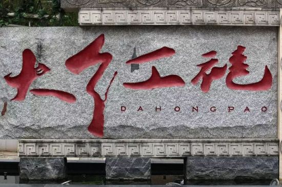 母樹大紅袍給誰(shuí)喝了，為什么母樹大紅袍叫三棵六株？