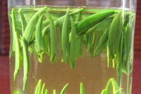 竹葉青和毛尖的區(qū)別，毛尖和竹葉青怎么分辨？