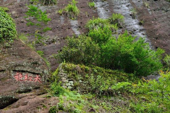 武夷巖茶大紅袍，喝起來(lái)是什么味道？